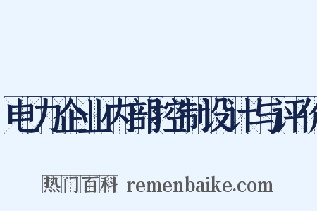 电力企业内部控制设计与评价是什么意思的图片